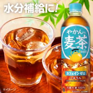 〔ポイント15%対象+9%!〕 コカ・コーラ ...の詳細画像3