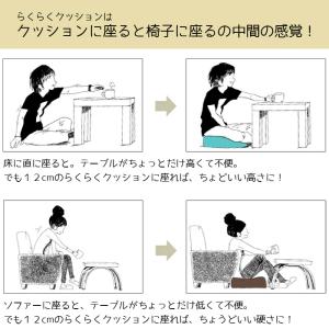 低反発らくらくクッション 高品質 低反発クッシ...の詳細画像1