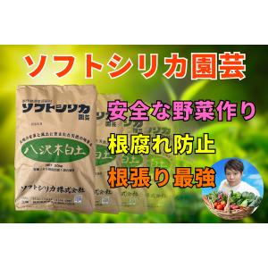 ソフトシリカ 園芸用 20kg 珪酸塩白土 モ...の詳細画像2