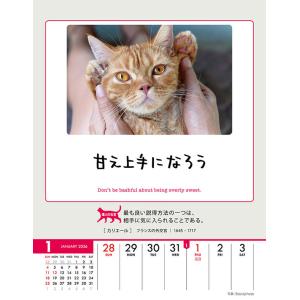 【残りわずか】人生はニャンとかなる! 卓上/壁...の詳細画像1