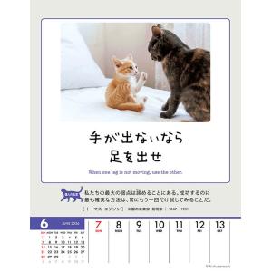 【残りわずか】人生はニャンとかなる! 卓上/壁...の詳細画像4