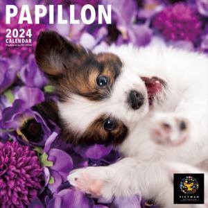 【おまけCL付】パピヨン PICTWAN (ピクトワン) カレンダー DOG 【L版】 2024年カレンダー 24CL-50017L｜softya2