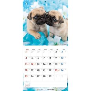 【残りわずか!!】パグ PICTWAN (ピク...の詳細画像5