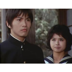 特捜記者 コレクターズDVD 【昭和の名作ライブラリー 第163集