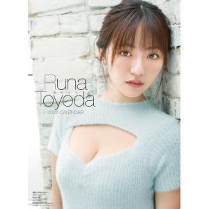 豊田ルナ 2026年 壁掛けカレンダー CL-251 CL26-251W