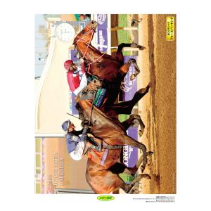 報知競馬 2026年 壁掛けカレンダー CL-577 CL26-577