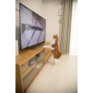 新品 ネコだってテレビがみたい!NEKO TU...の詳細画像1