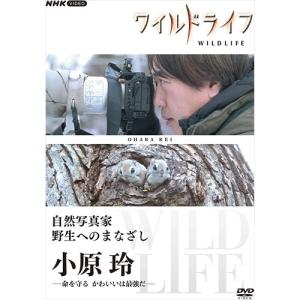DVD-BOX「ランチの女王 完全版」 (主演竹内結子 フジテレビ 月9 ラブ