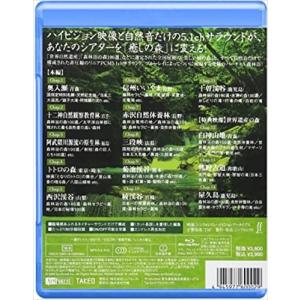 新品 シンフォレスト 森林浴サラウンド ブルー...の詳細画像1