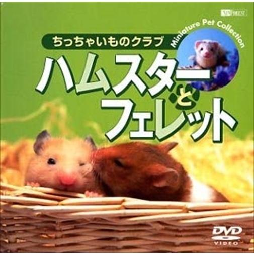 新品 シンフォレスト ハムスターとフェレット/ちっちゃいものクラブ /  (DVD) SDA22-T...