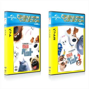 CR (Crazy Raccoon) FES 2023 Blu-ray : スターアップストア - 通販