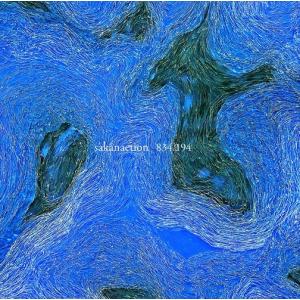 サカナクション／834.194［重量盤アナログ］(生産限定盤)【アナログ