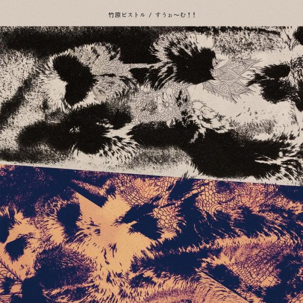 【おまけCL付】新品 すうぉ〜む!!(通常盤) / 竹原ピストル (CD) VICL66040-SK