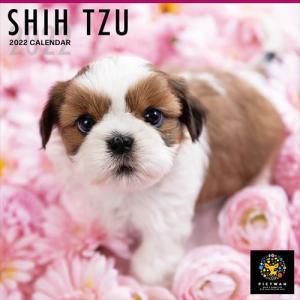 シー・ズー PICTWANカレンダー2022年 DOG 2022年カレンダー