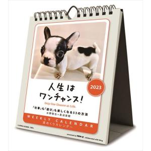 人生はワンチャンス！ 2023年カレンダー 23CL-0388