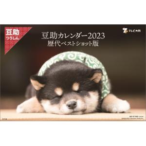 【おまけCL付】新品 卓上　豆助 2023年カレンダー 23CL-0391｜softya