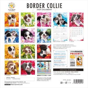 【残りわずか!!】【おまけCL付】ボーダー・コ...の詳細画像1