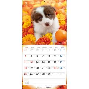 【残りわずか!!】【おまけCL付】ボーダー・コ...の詳細画像5