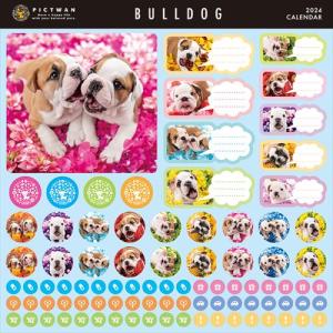 【残りわずか!!】【おまけCL付】ブルドッグ ...の詳細画像2