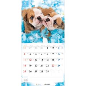 【残りわずか!!】【おまけCL付】ブルドッグ ...の詳細画像5