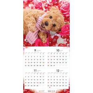 【残りわずか!!】【おまけCL付】ドッグ・セレ...の詳細画像3