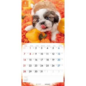 【残りわずか!!】【おまけCL付】ドッグ・セレ...の詳細画像4