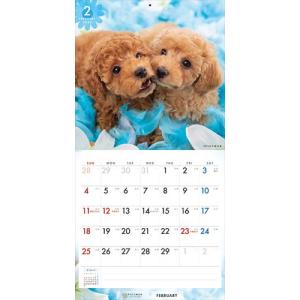 【残りわずか!!】【おまけCL付】プードル P...の詳細画像5
