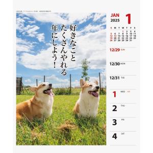 【残りわずか!!】コーギー川柳 週めくり 卓上...の詳細画像1