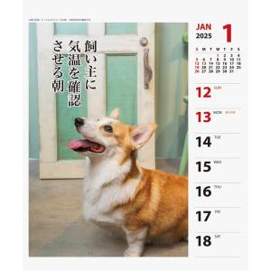 【残りわずか!!】コーギー川柳 週めくり 卓上...の詳細画像2
