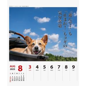 【残りわずか!!】コーギー川柳 週めくり 卓上...の詳細画像5