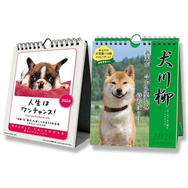 【残りわずか】人生はワンチャンス！ / 犬川柳 週めくり 卓上/壁掛 セット CL26-383 CL...