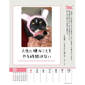 【残りわずか】人生はニャンとかなる! 卓上/壁...の詳細画像5