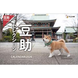 【残りわずか】卓上 歴代豆助セレクション 2026年 カレンダー CL-397 CL26-397