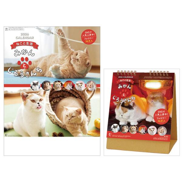 【残りわずか】ねこと生活 みかんとじろうさんち 壁掛け・卓上セット CL26-400 CL26-40...