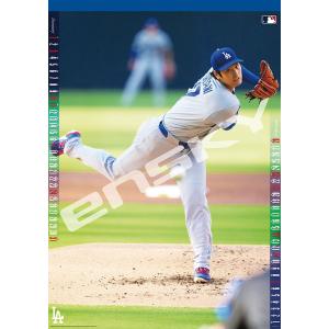 2026/10/17発売予定! 大谷翔平 / ...の詳細画像1