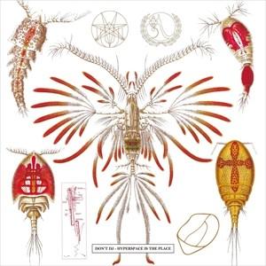 【おまけCL付】新品 Hyperspace is The Place / Hyperspace is...