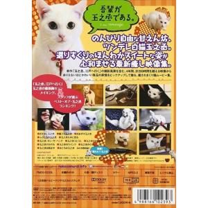 【おまけCL付】新品 いやし猫 DVD 猫侍 ...の詳細画像1