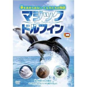 【おまけCL付】新品 マジックドルフィン / (...の商品画像