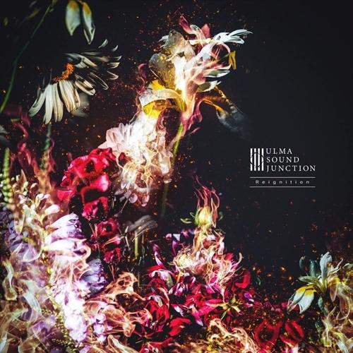 【おまけCL付】新品 Reignition / ulma sound junction ウルマサウン...