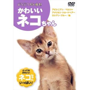 【おまけCL付】新品 どうぶつだいすき かわいい...の商品画像