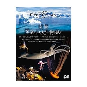 新品 NHKスペシャル ディープ オーシャン 南極 深海に巨大生物を見た / (DVD) NSDS2...