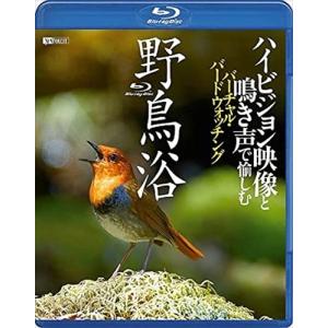 【おまけCL付】新品 シンフォレスト野鳥浴 ハイビジョン映像と鳴き声で愉しむバーチャル・バードウォッチング /  (Blu-ray) RDA5-TKO｜softya