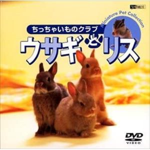 【おまけCL付】新品 シンフォレスト ウサギとリス/ちっちゃいものクラブ /  (DVD) SDA23-TKO｜softya