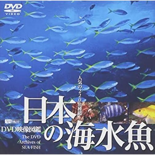 【おまけCL付】新品 シンフォレスト 日本の海水魚 DVD映像図鑑 /  (DVD) SDA26-T...