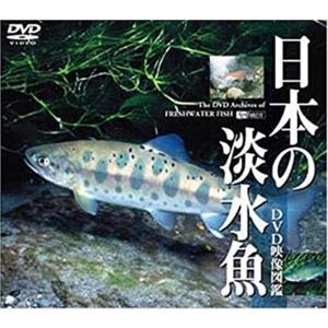【おまけCL付】新品 シンフォレスト 日本の淡水魚　DVD映像図鑑 /  (DVD) SDA27-TKO｜softya