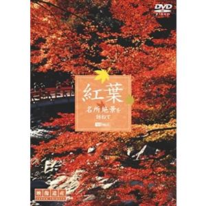 【おまけCL付】新品 シンフォレスト 紅葉 名所絶景を訪ねて/映像遺産・ジャパントリビュート /  (DVD) SDA65-TKO｜softya