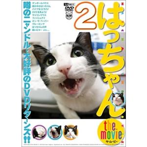 【おまけCL付】新品 シンフォレスト はっちゃん the movie 2 噂のニャンドル・大好評のDVDリターンズ!! /  (DVD) SDA66-TKO｜softya