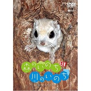 【おまけCL付】新品 シンフォレスト 映像絵本 森のいのち・川のいのち SAVE THE FOREST /  (DVD) SDA83-TKO｜softya