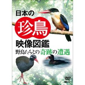 【おまけCL付】新品 日本の珍鳥　映像図鑑　野鳥たちとの奇跡の遭遇　（DVD）　SDA92｜softya