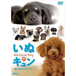 【おまけCL付】新品 シンフォレストDVD いぬキュン 癒しのわんこシアター We Love Dog /  (DVD) SDB18-TKO｜softya